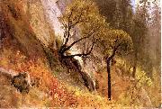 Albert Bierstadt Landscape Study, Yosemite California oil painting artist